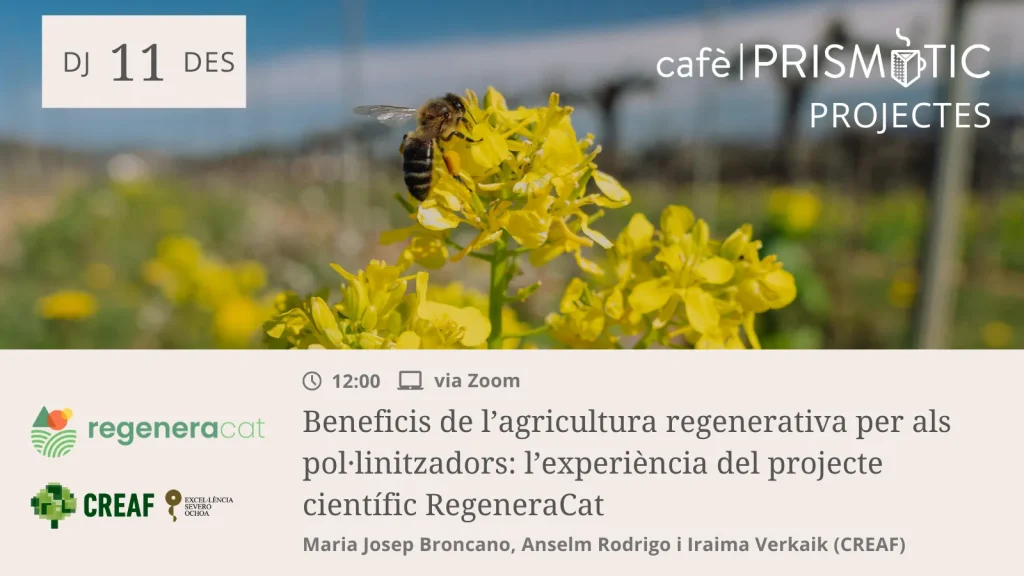 CafePrismatic_polis_agricultura