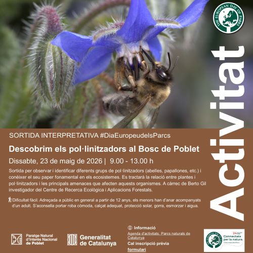 Descobrim els pol·linitzadors al Bosc de Poblet
