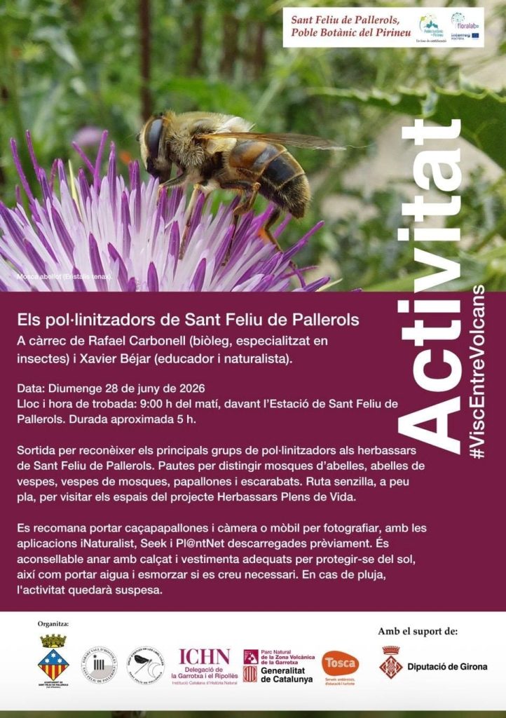 Els pollinitzadors de Sant Feliu de Pallerols
