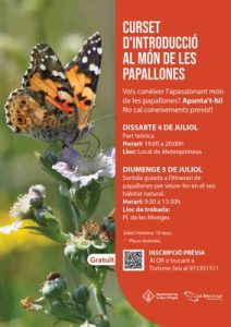 Curs d'introducció al món de les papallones. La Seu d'Urgell