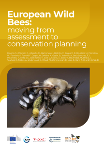 EuropeanWildBees